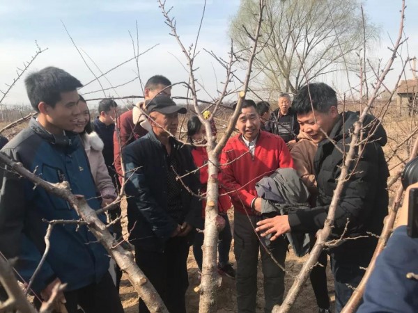 图为山西晋中市太谷县衡荣生态农场（耕读大学大本营）