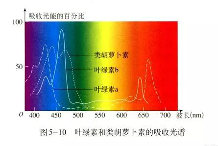 微信图片_20190709212134